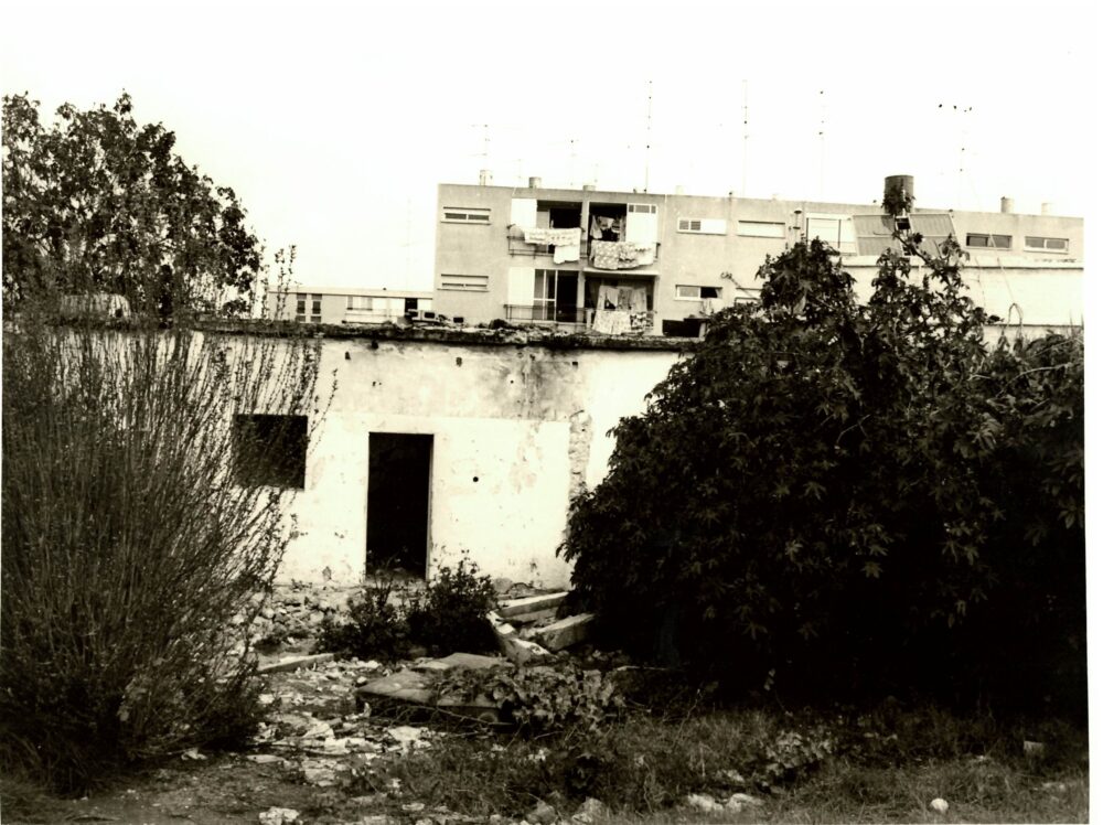 בתים ברחבי העיר