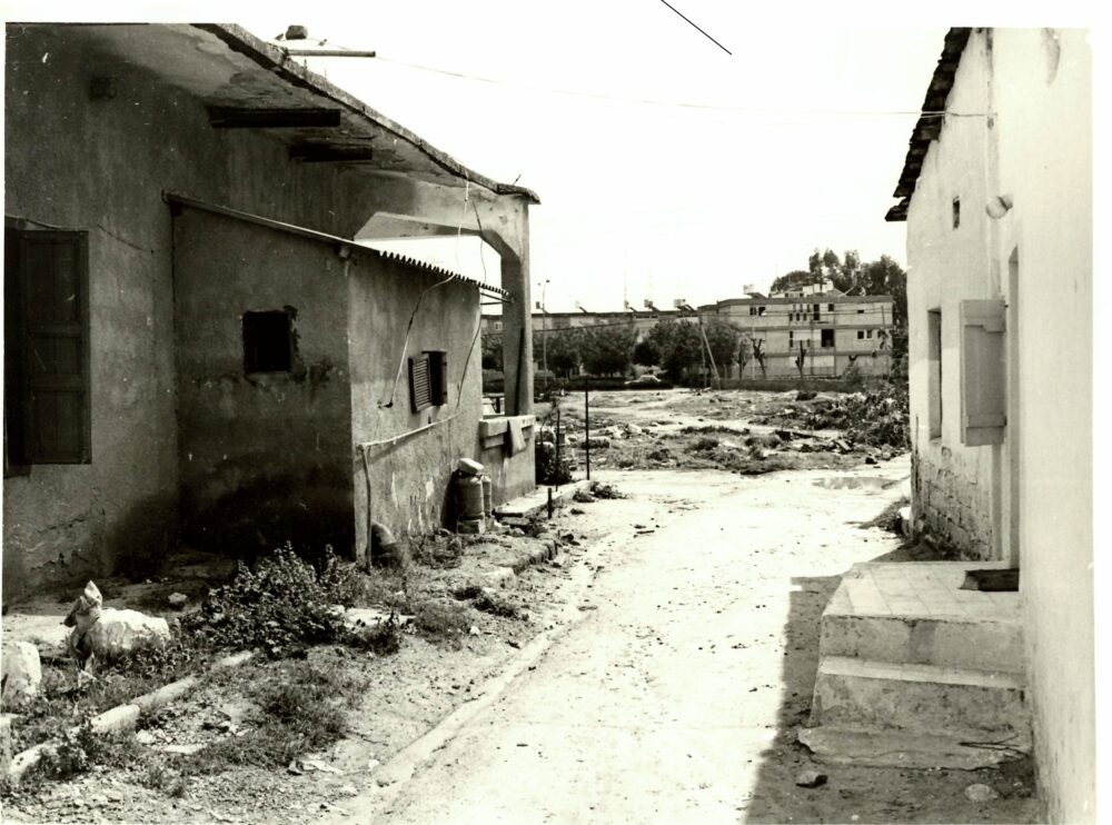בתים ברחבי העיר