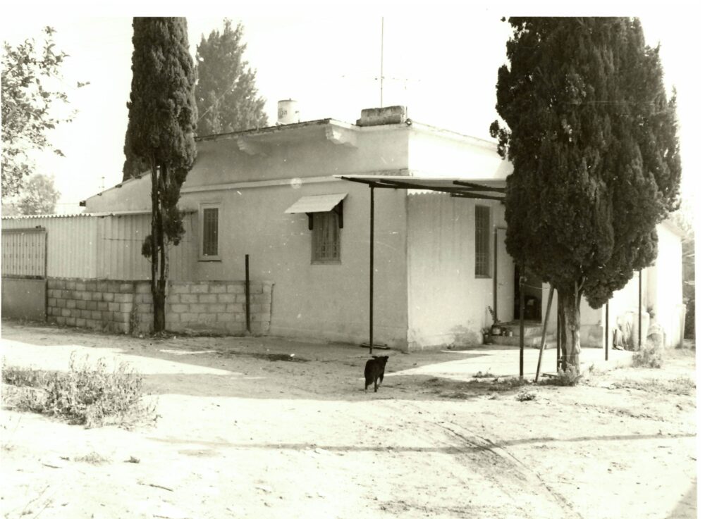 בתים ברחבי העיר