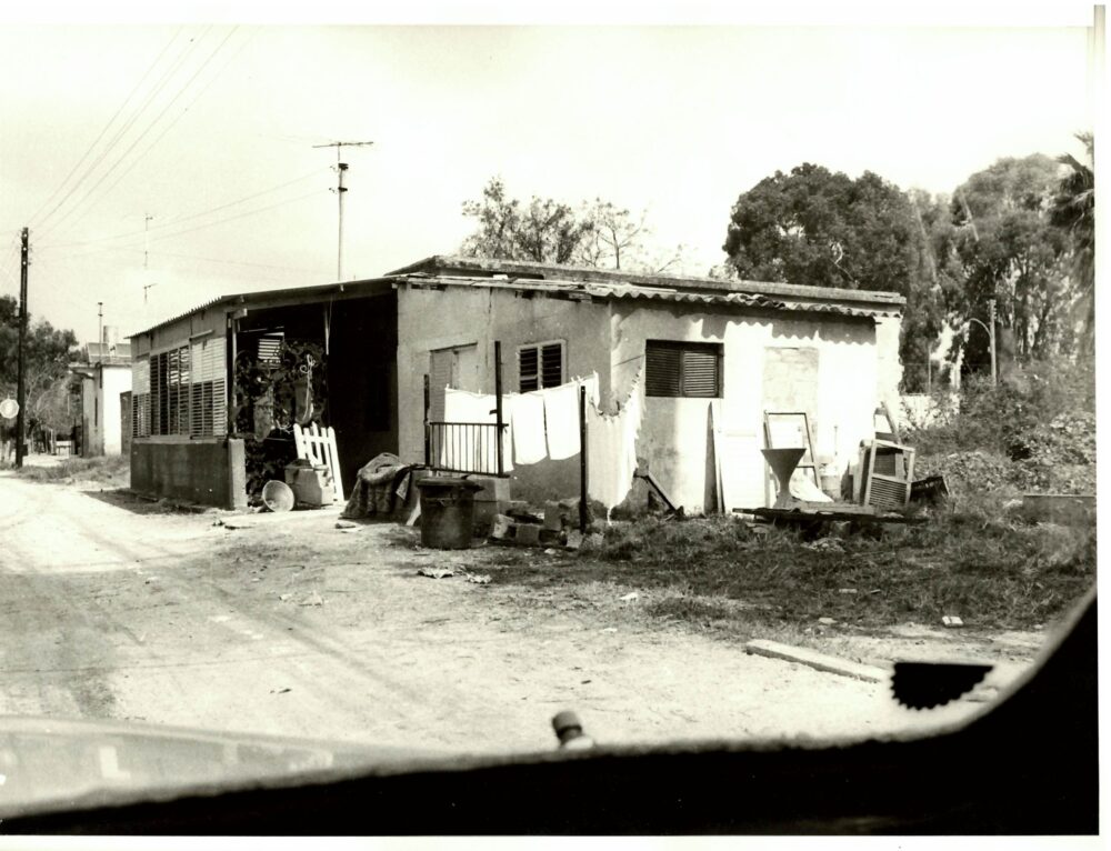 בתים ברחבי העיר