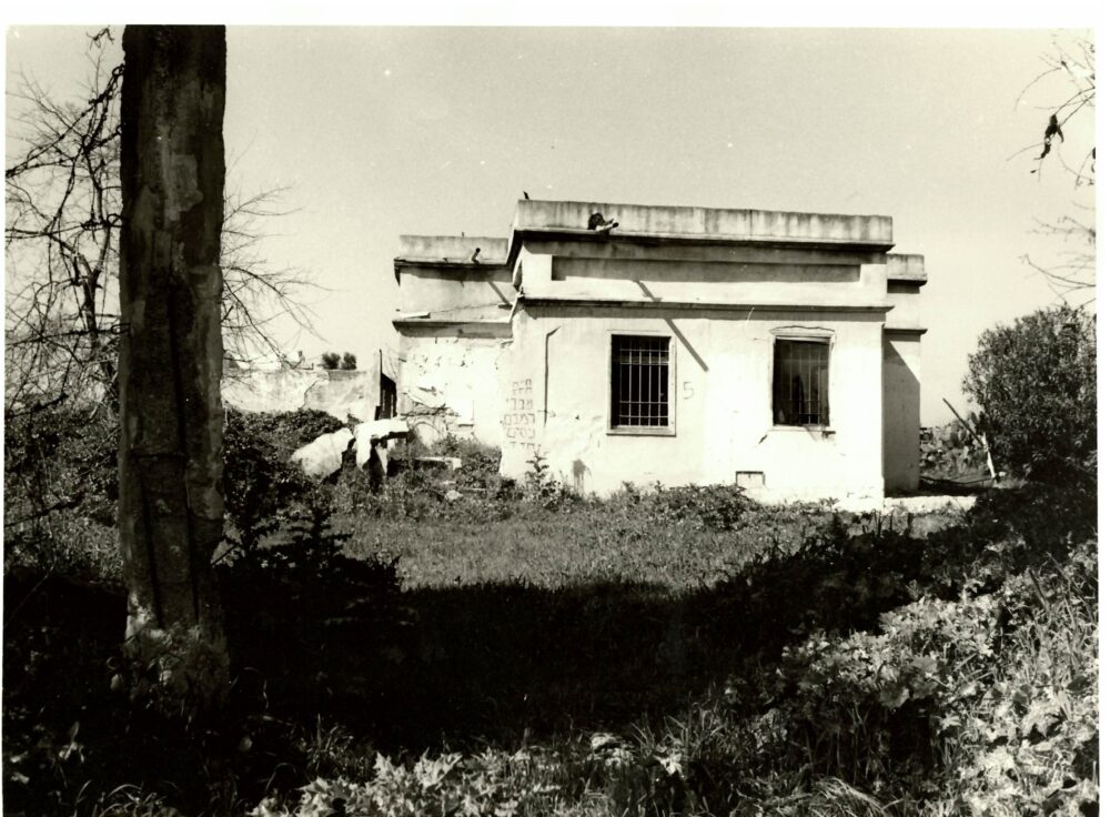 בתים ברחבי העיר