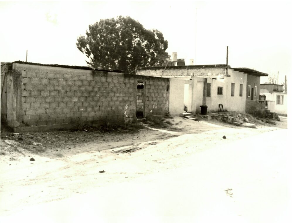 בתים ברחבי העיר