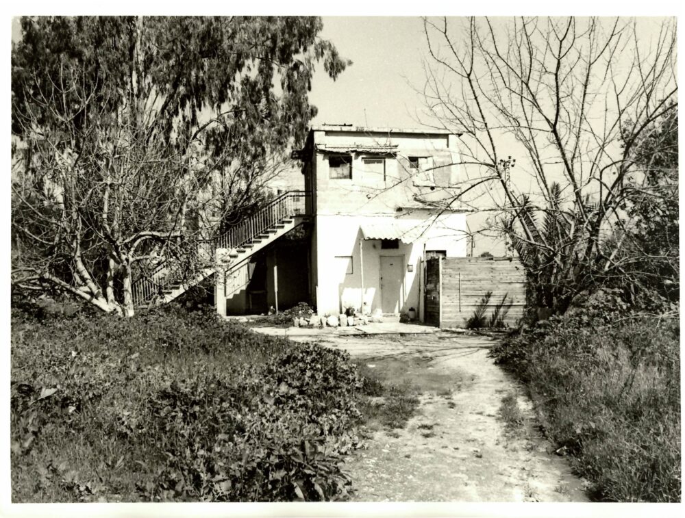 בתים ברחבי העיר