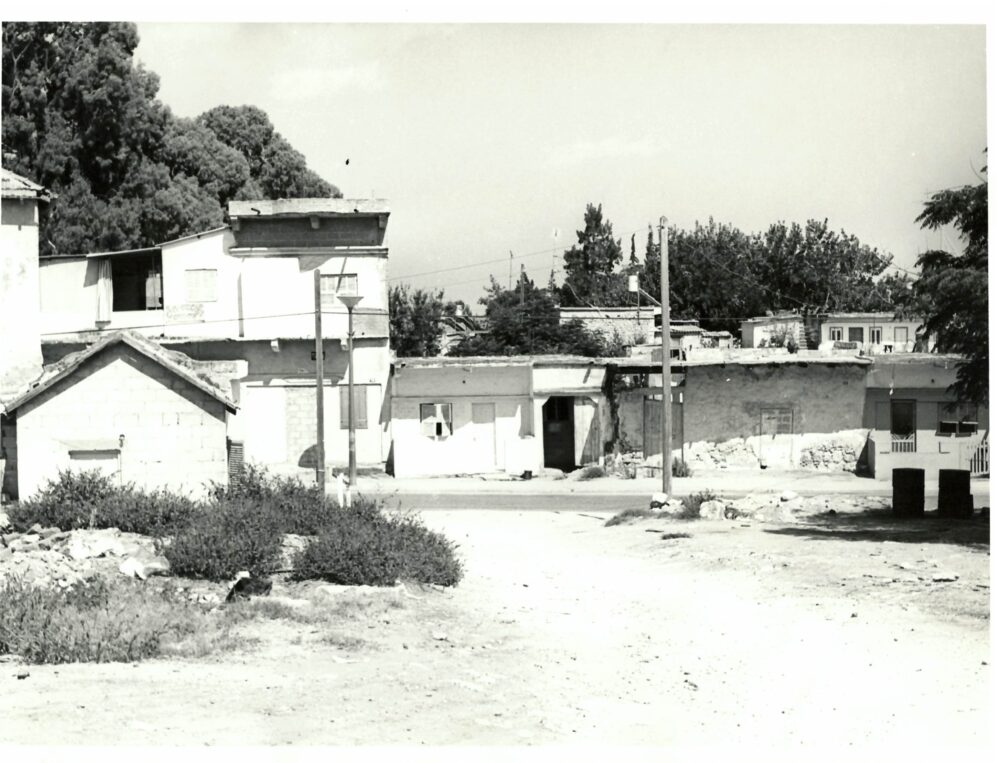 מבנים ברחבי העיר