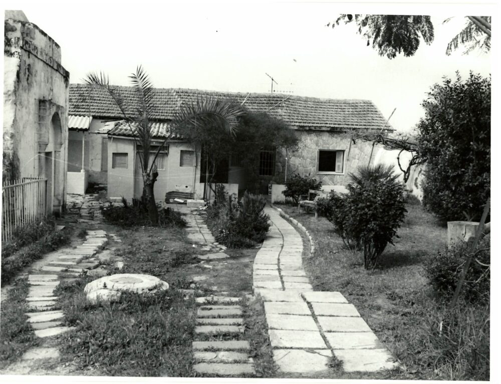 בתים ברחבי העיר