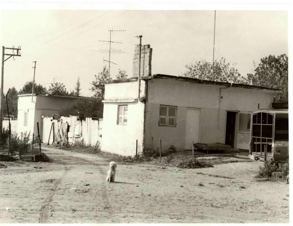 בתים ברחבי העיר