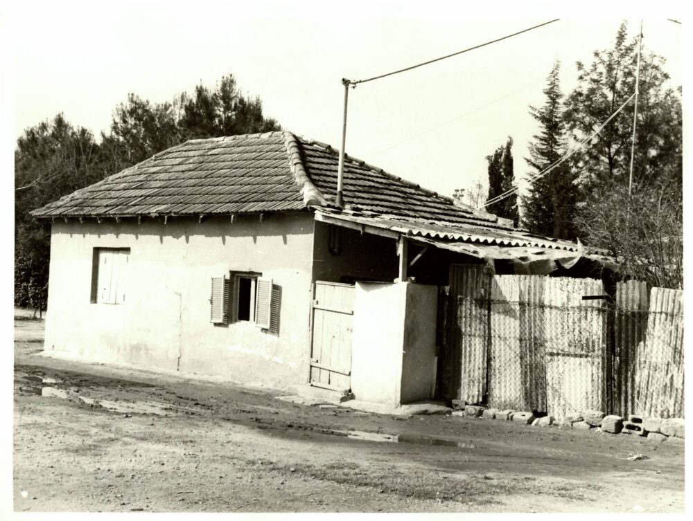בתים ברחבי העיר