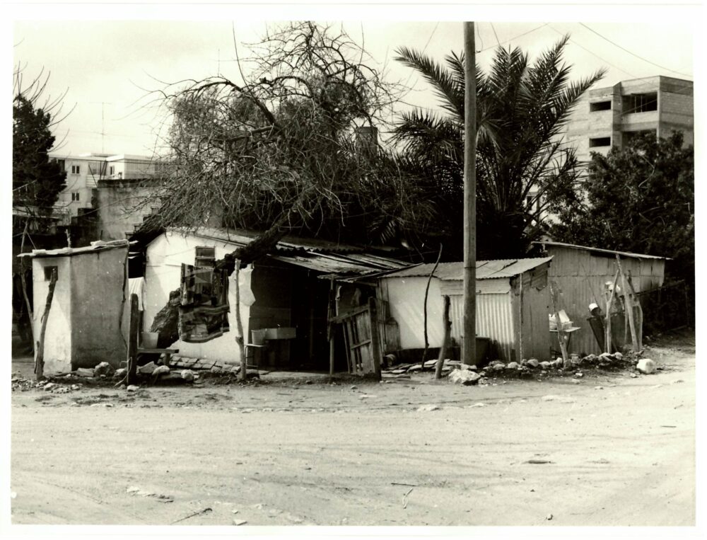 בתים ברחבי העיר