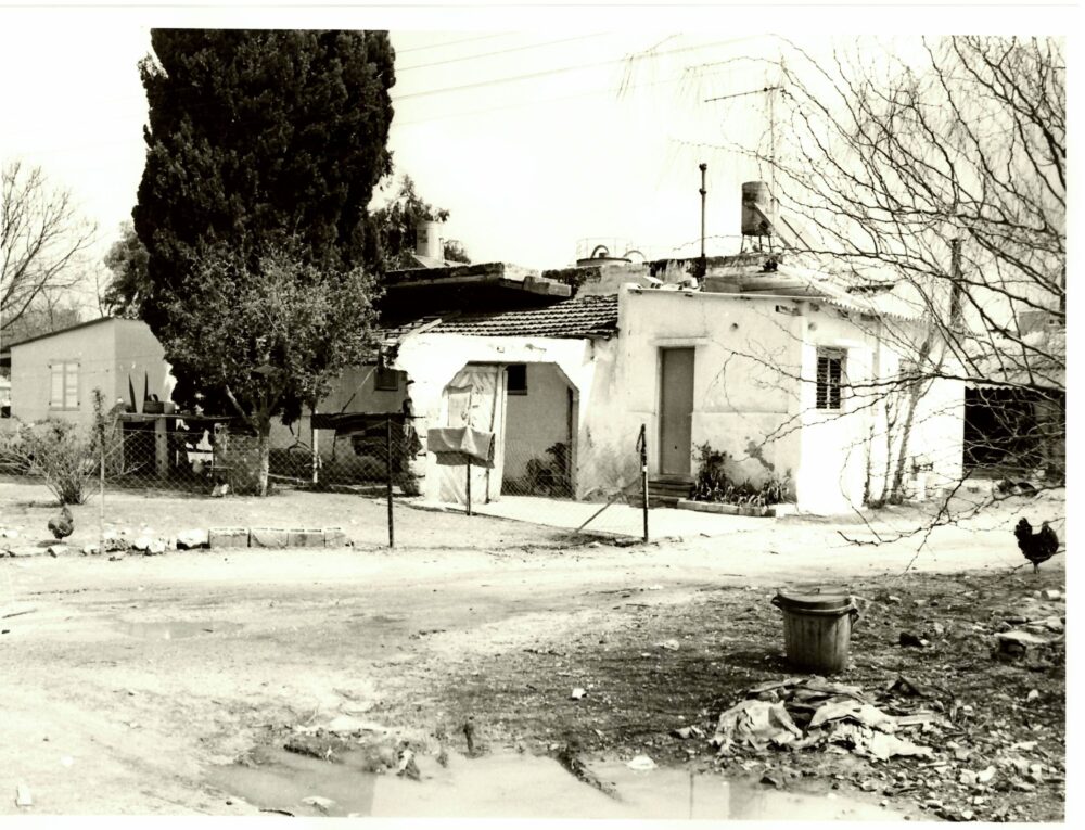 בתים ברחבי העיר