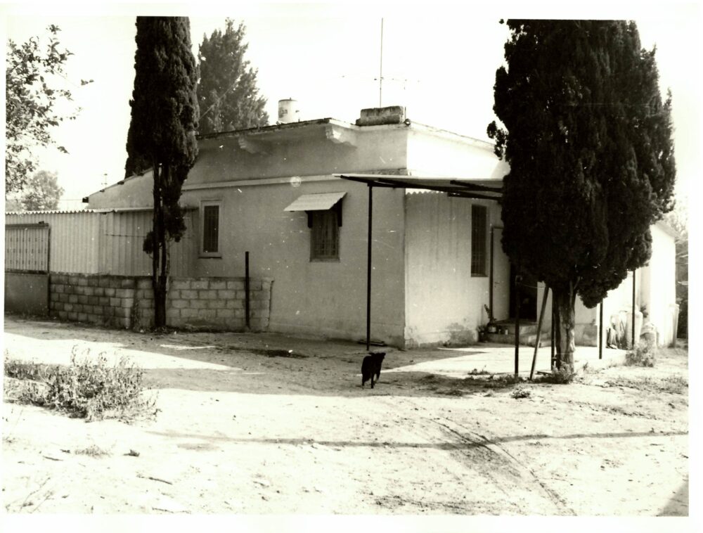 בתים ברחבי העיר