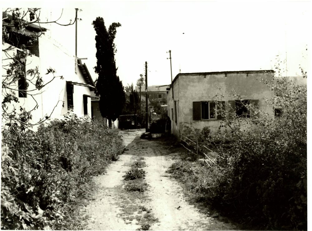 מבנים ברחבי העיר