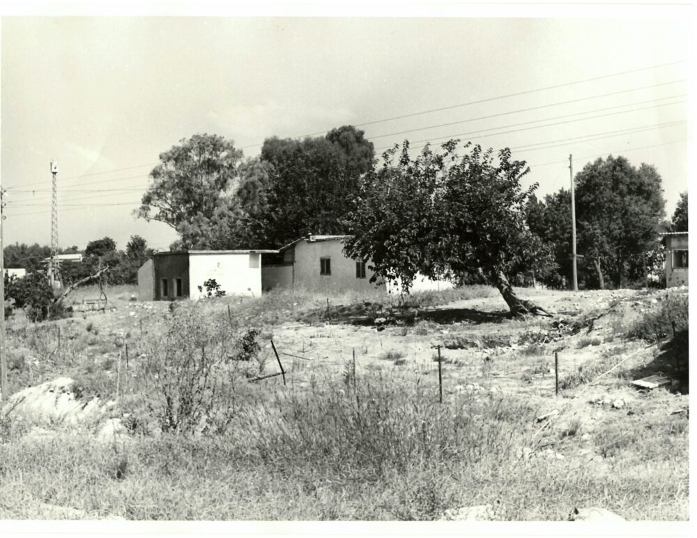 מבנים ברחבי העיר