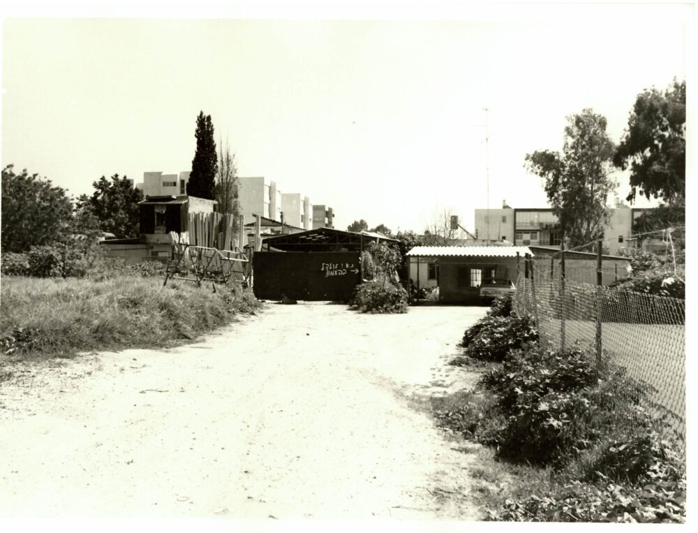 מבנים ברחבי העיר