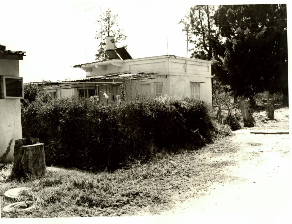 בתים ברחבי העיר